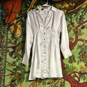 Zara button down dress